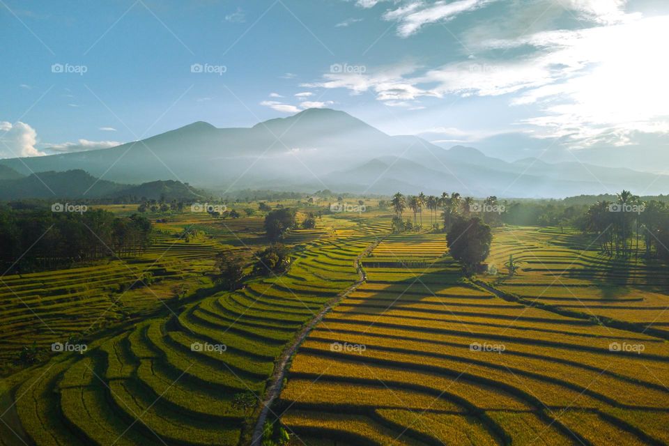 Sunlight at rice fields and mountain
