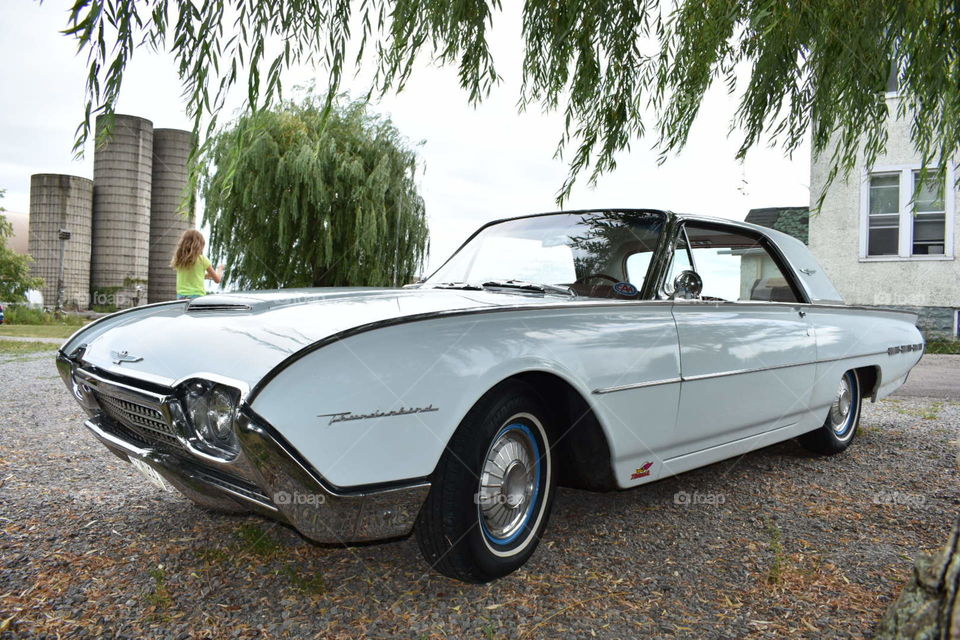A vintage thunder bird will draw anyone’s eye. This off white car is a beauty under the willow trees flowing branches.    