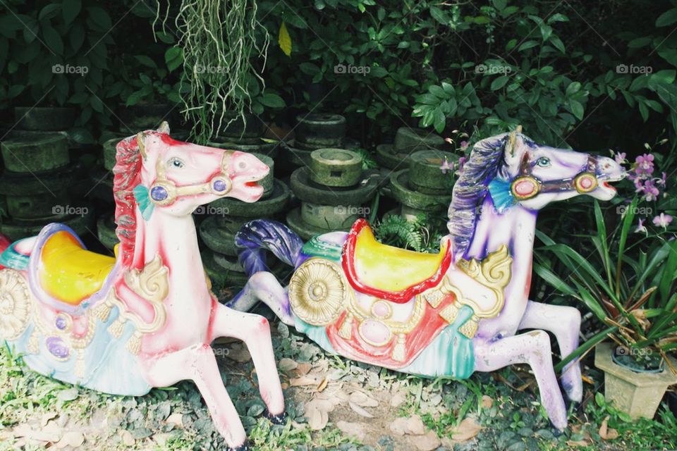 Old carousel horse 