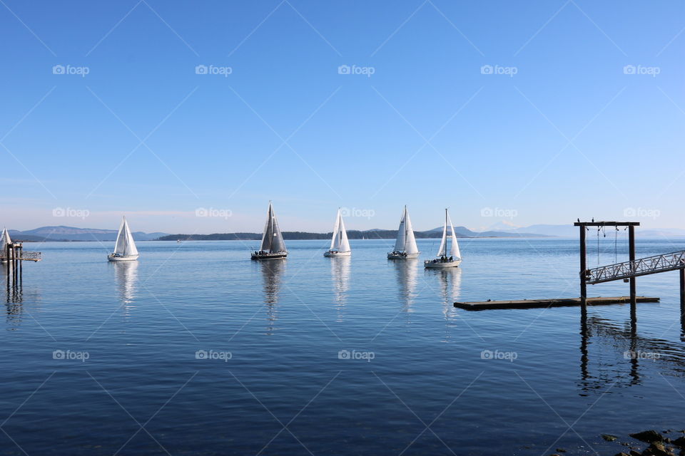Sail boats 