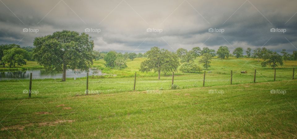 green pasture with trees and clouds on a summer day