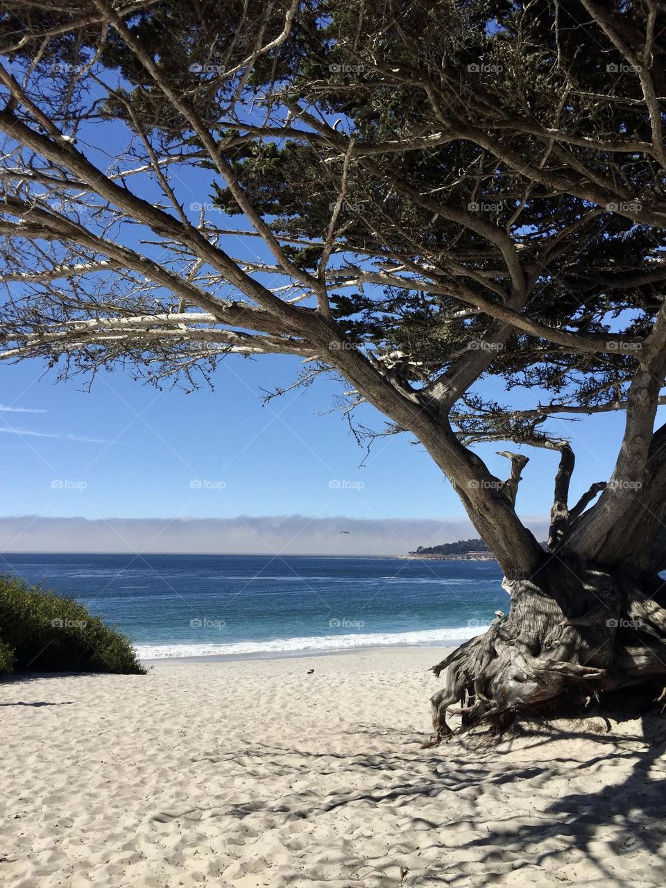 View of the beautiful white sand beach at Carmel, California 