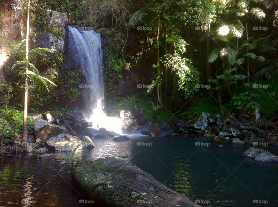 waterfall peaceful rainforest curtis falls mt tamborine by JadeyBones