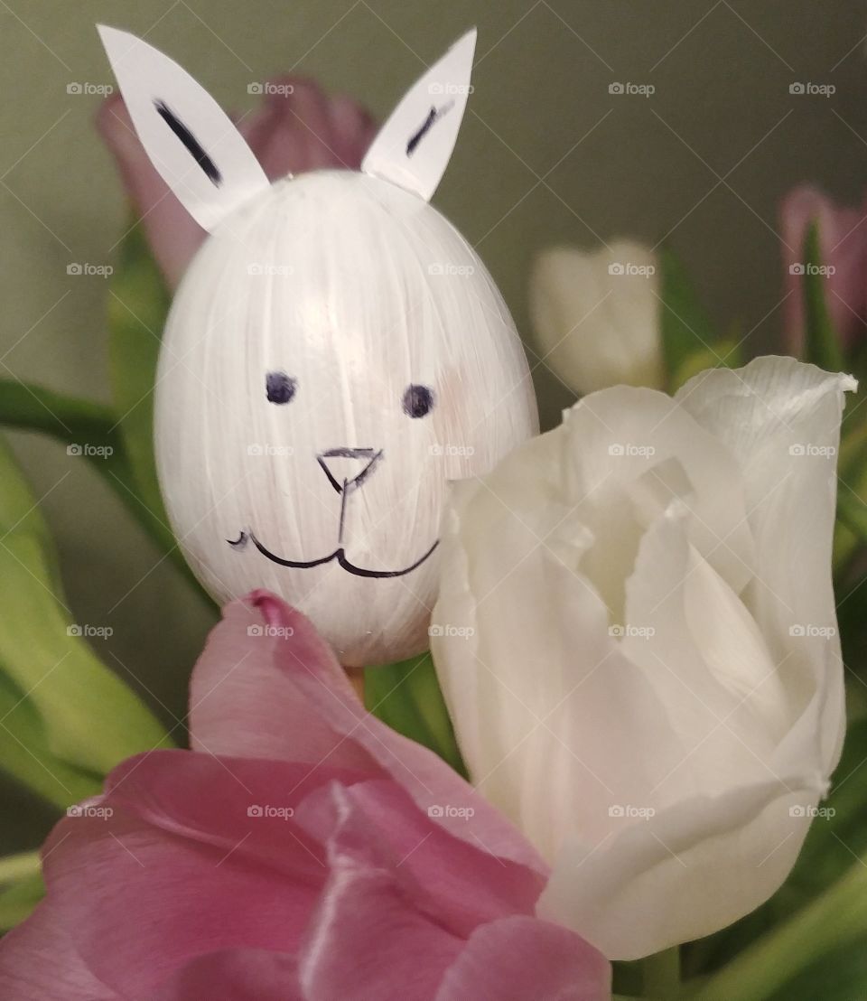 ostern eier easter hase Blumen fest rabbit
