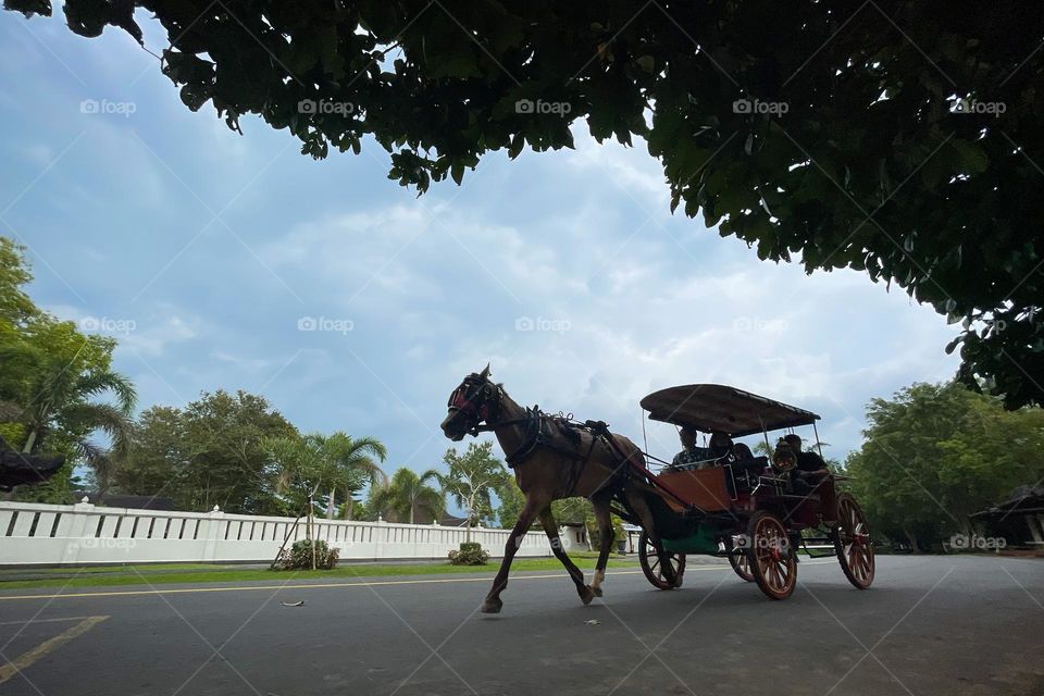 Horsecar