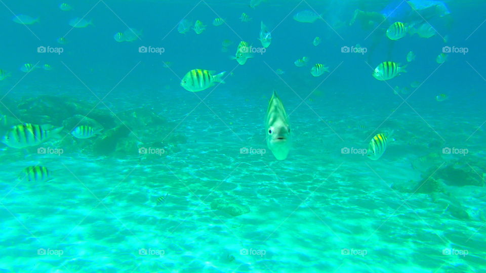 underwater in cuba