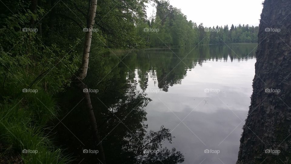 Water, No Person, Landscape, Tree, River