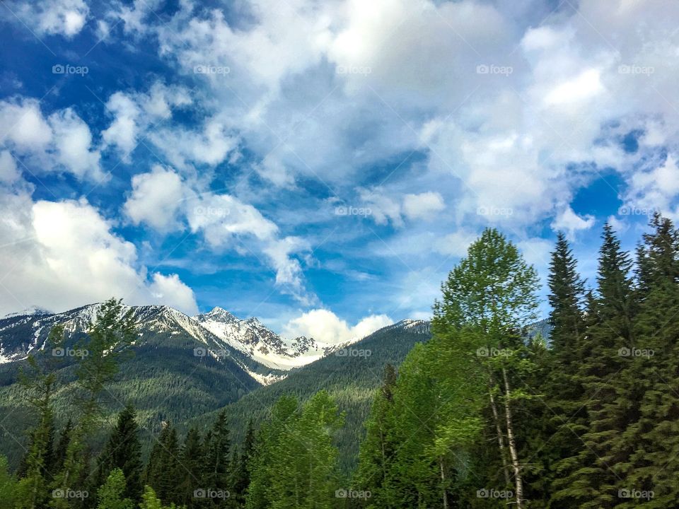 Canadian Rocky Mountains
