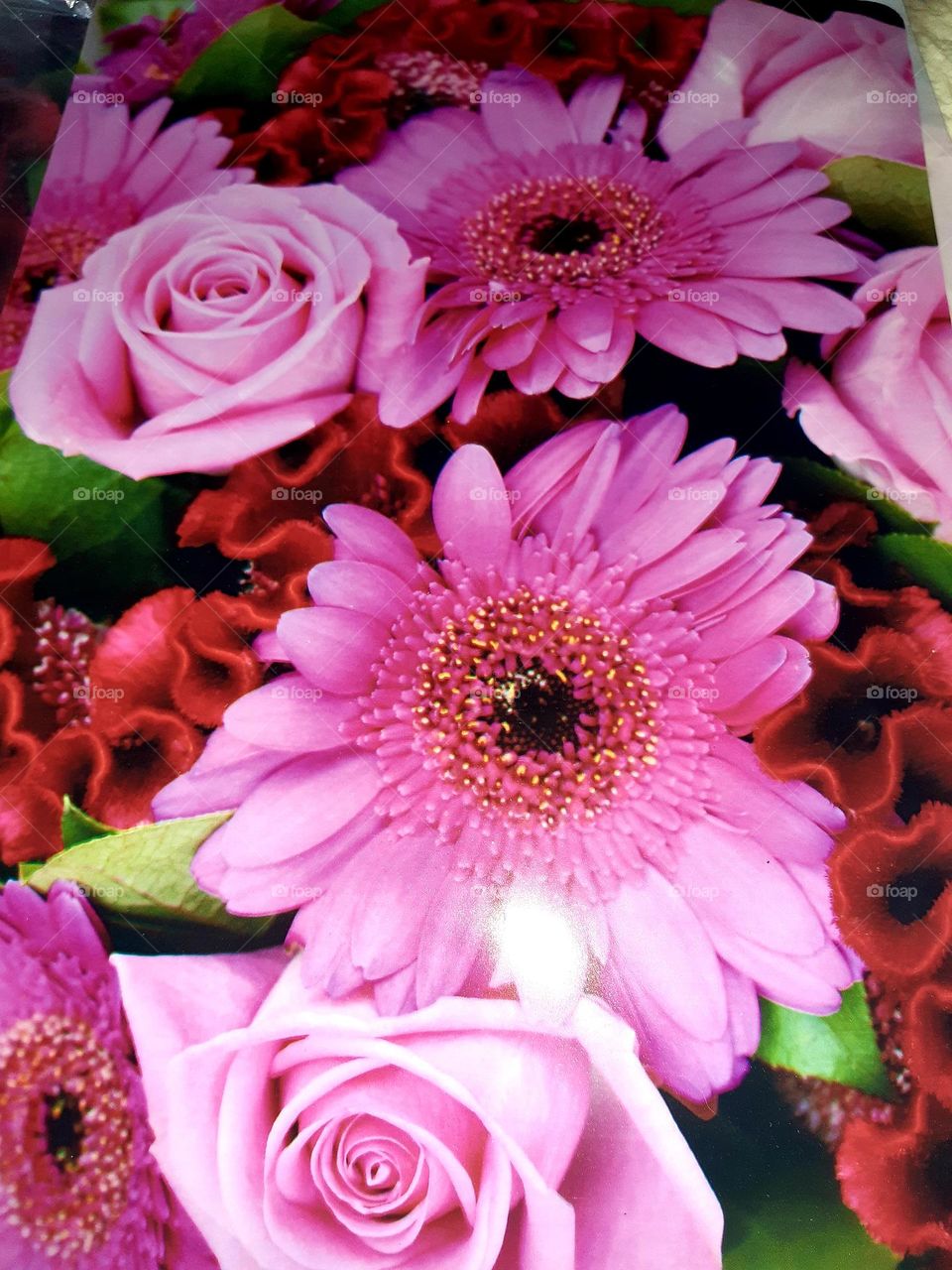 A close-up of pink roses and gerbera flowers with a background of red blossoms, showcasing intricate details and vibrant colors. Captured in Marrakech on January 1, 2025.