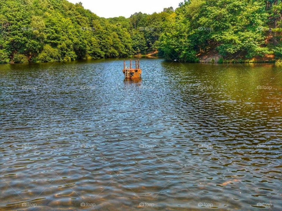 Gnoll Country Park, Neath, South Wales (Summer 2018)