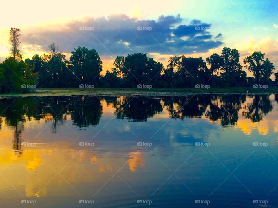 Pond life. Sunset on the water
