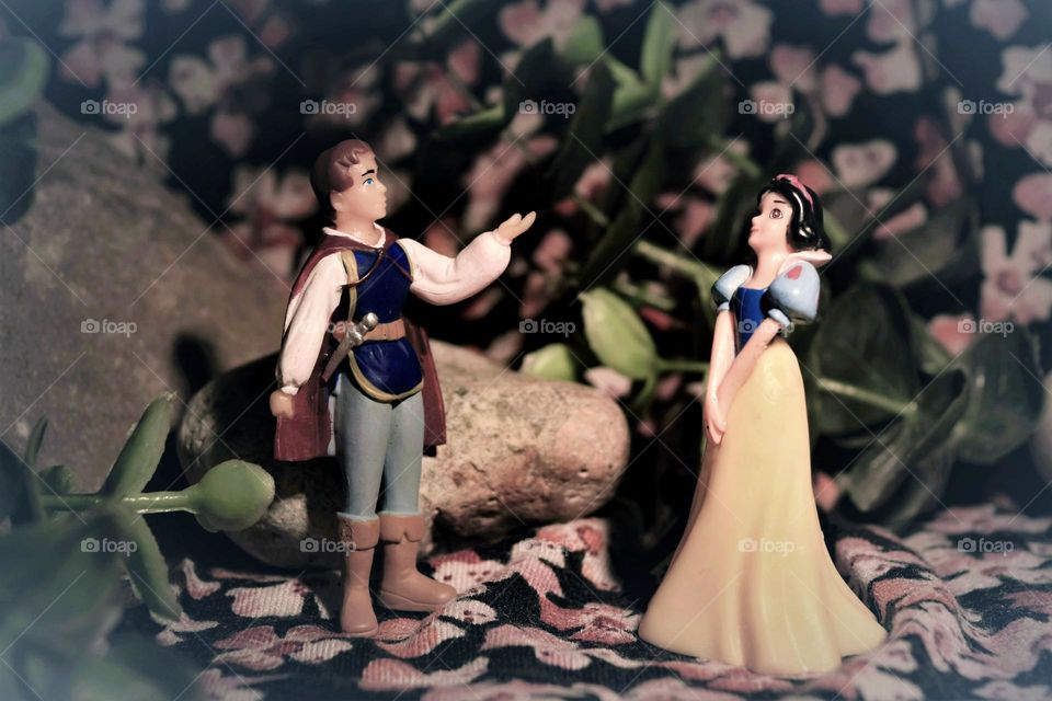 romantic image with Snow white and her prince meeting in the forest