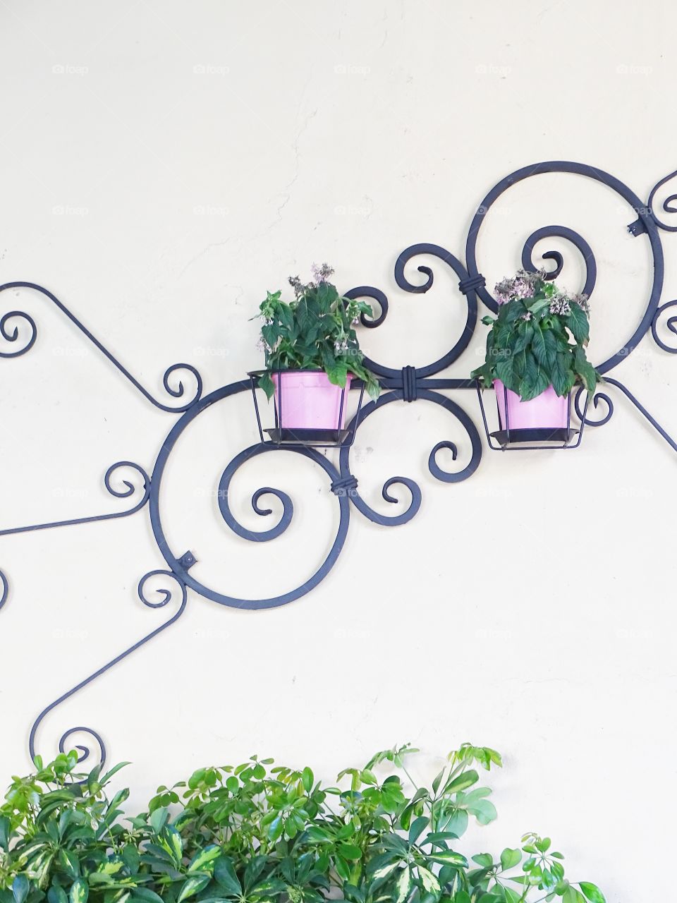 The photo looks good in pairs