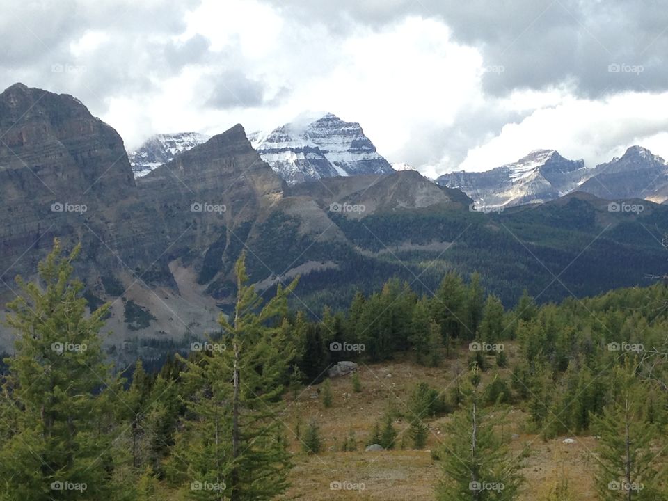 Hike in Healy pass , Alberta 