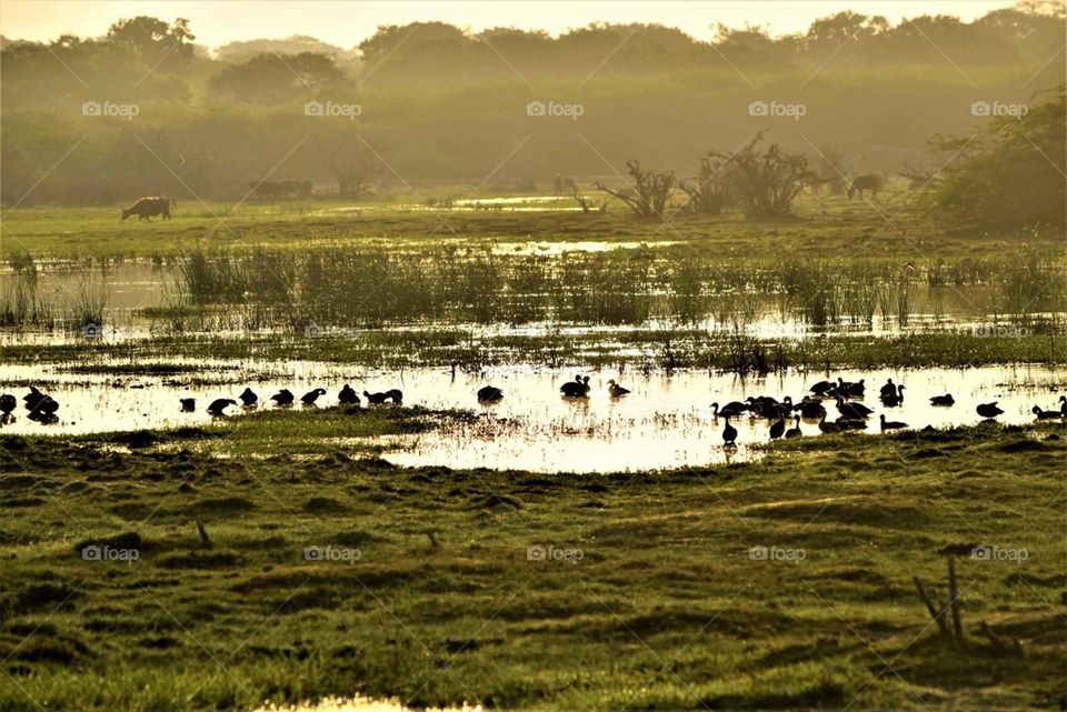 how much do you like this photo