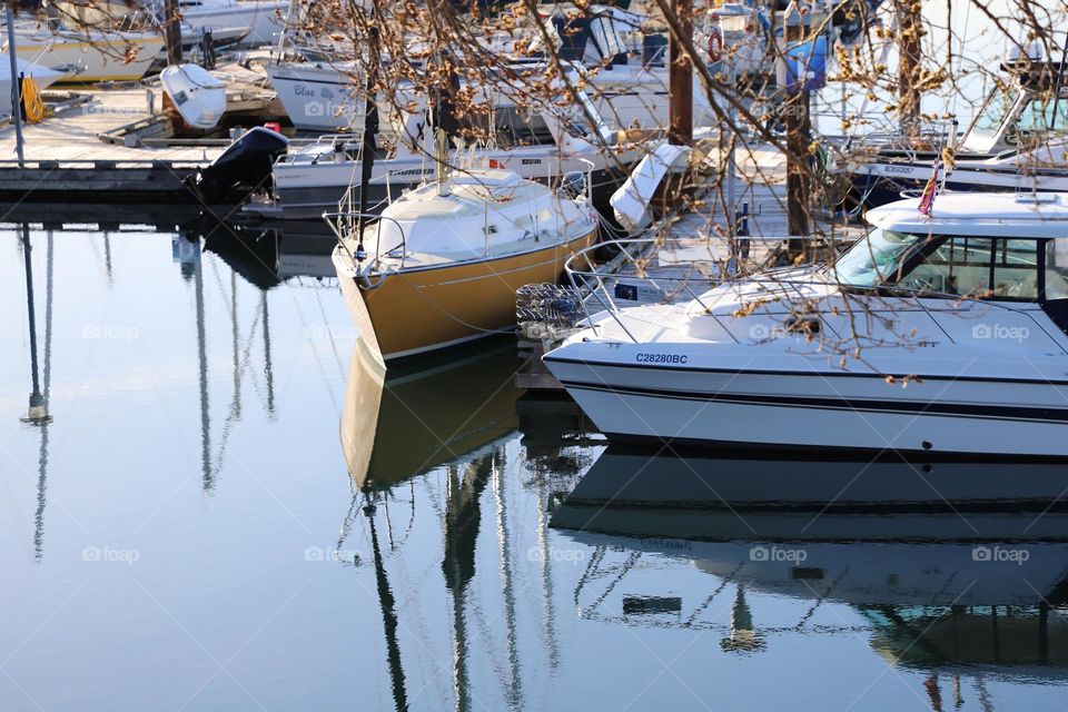 Boats in the harbour 