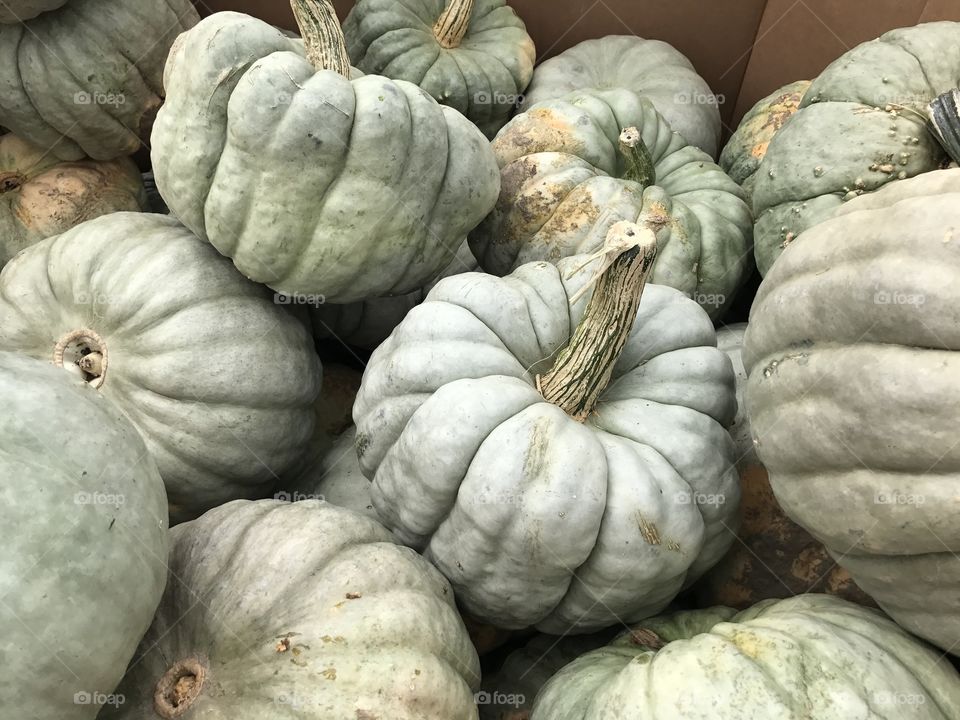 Pumpkins