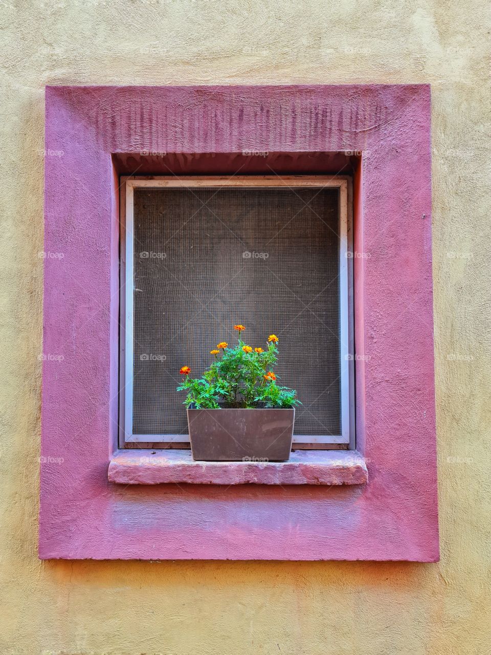 romantic colored window in the historic center