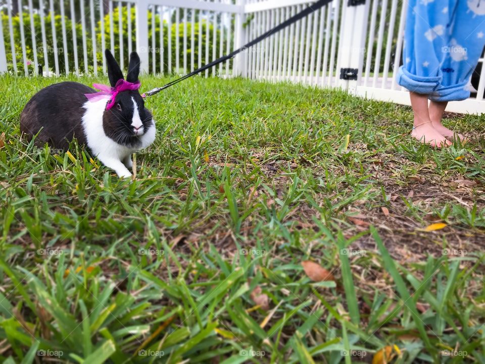 Taking the bunny for a hop