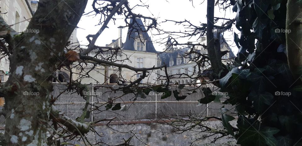 Castle of Villandry - Val de Loire