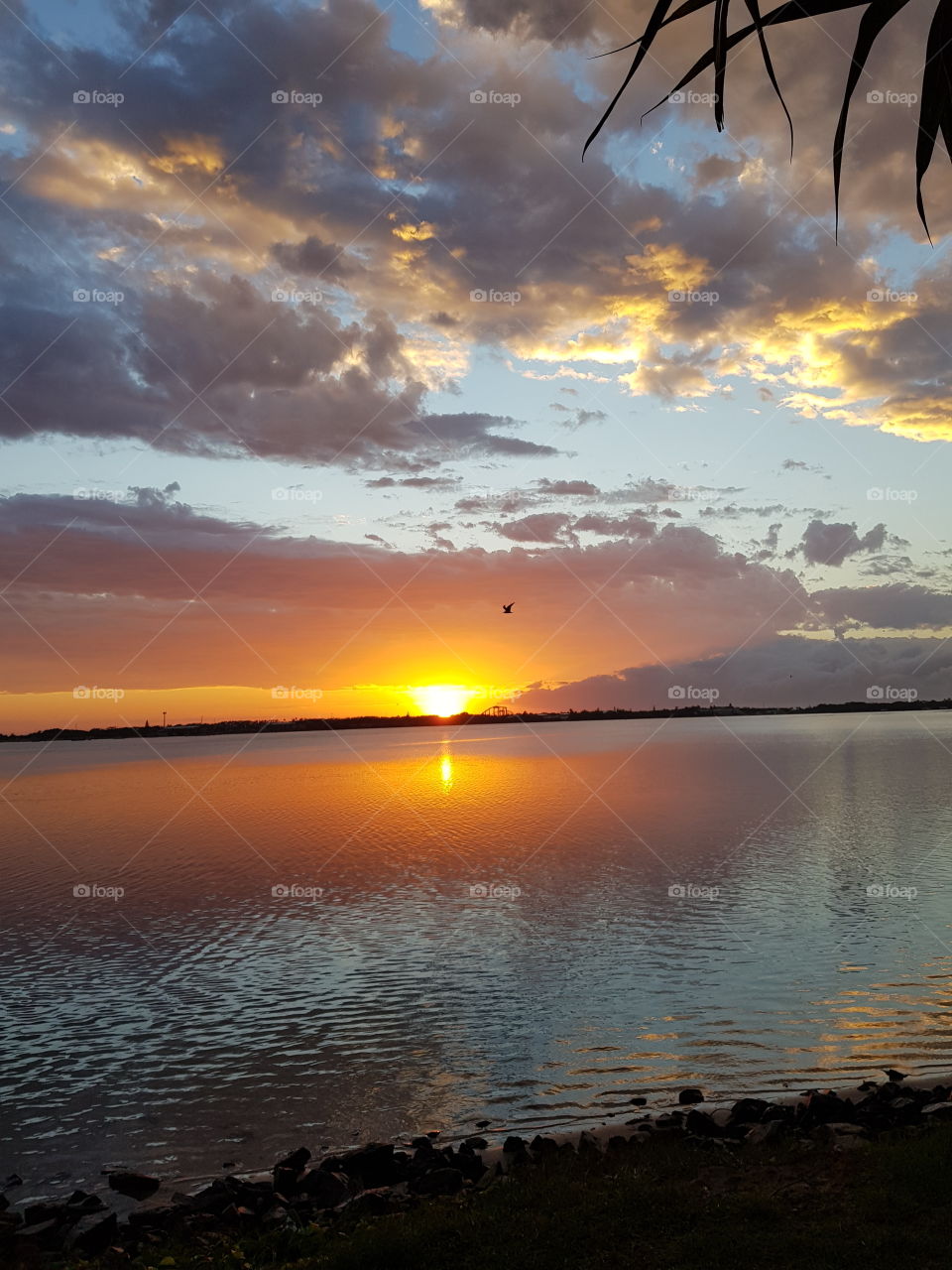 Calming Waters at Dawn