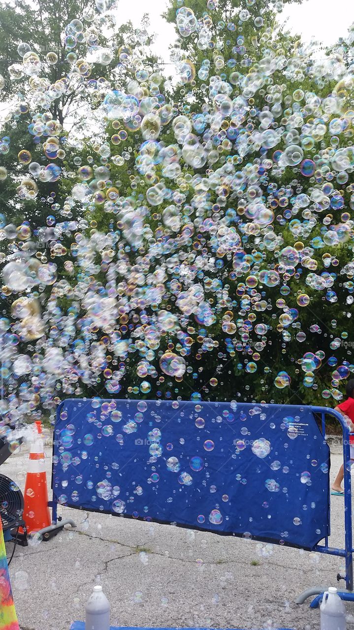 bubbles everywhere