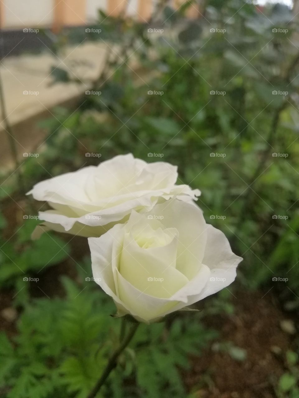 There's Some kind of innocence Worth Protecting🌷