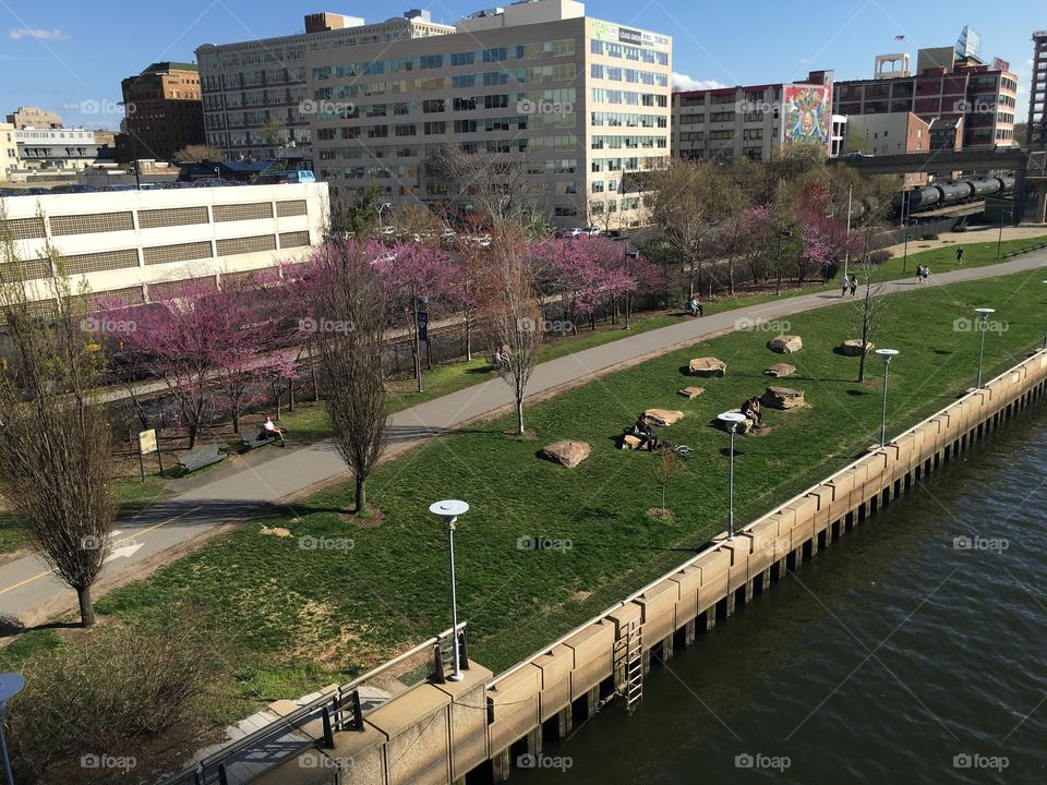 View from the bridge