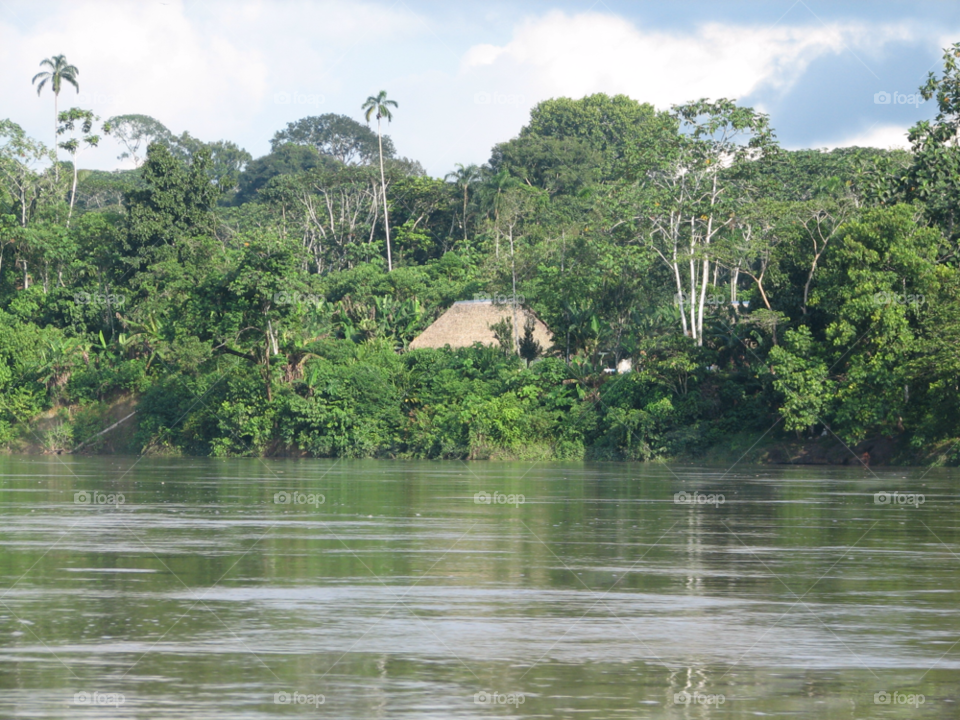 jungle house remote amazon by izabela.cib