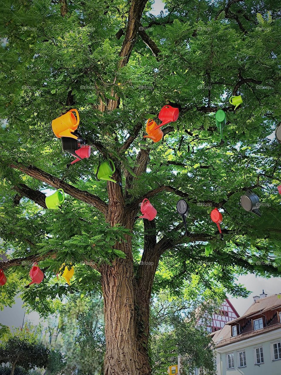 The watering cans are ripe, it will probably rain