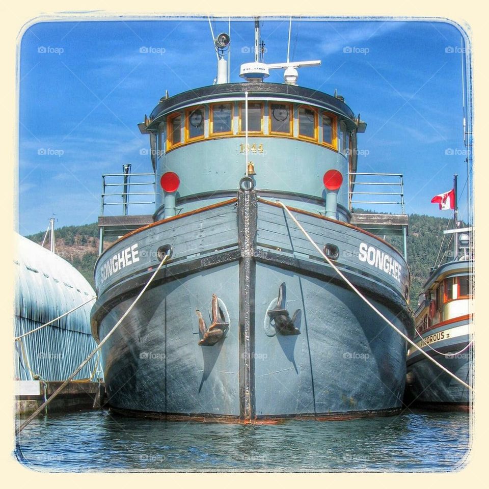 MV Songhee in Maple Bay