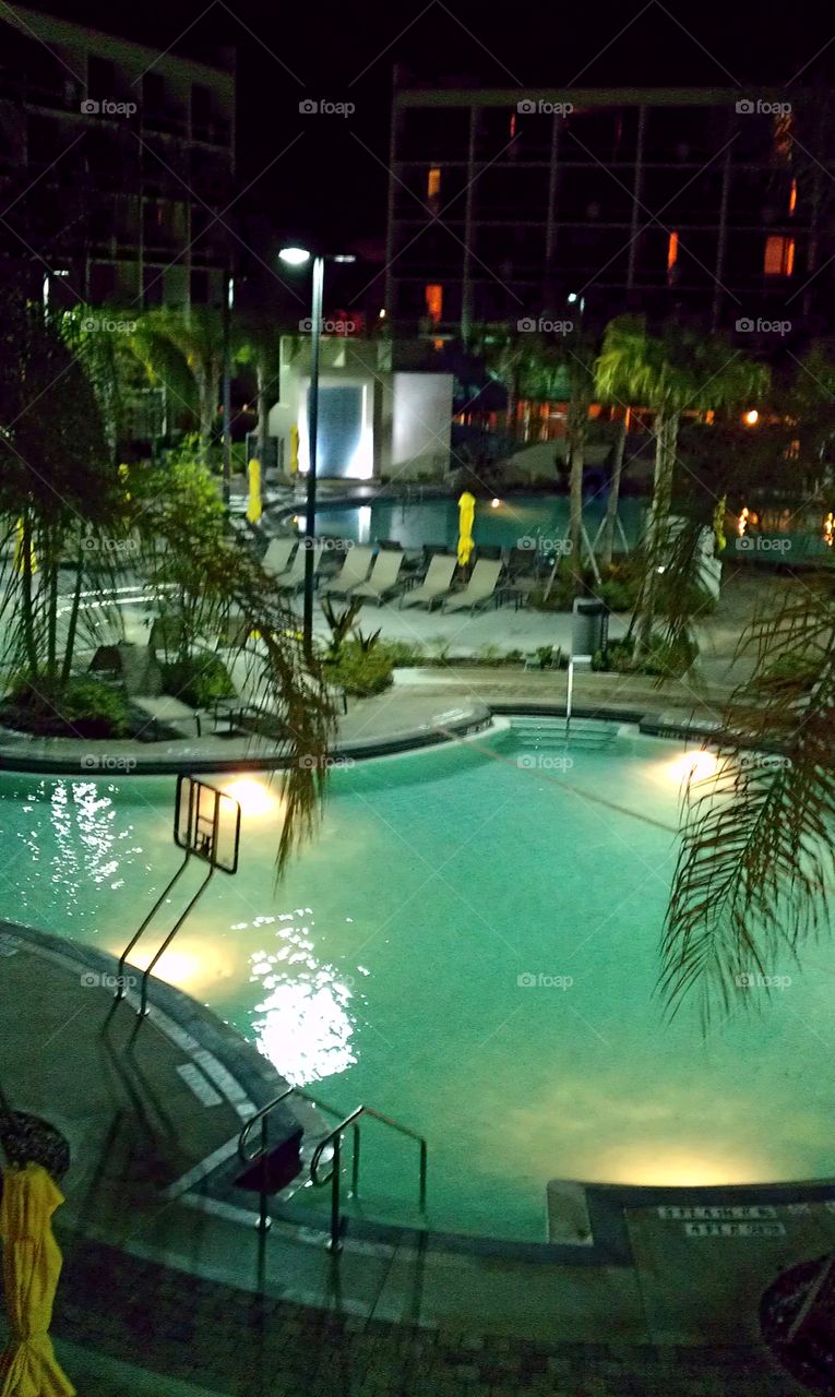 Pool Paradise 