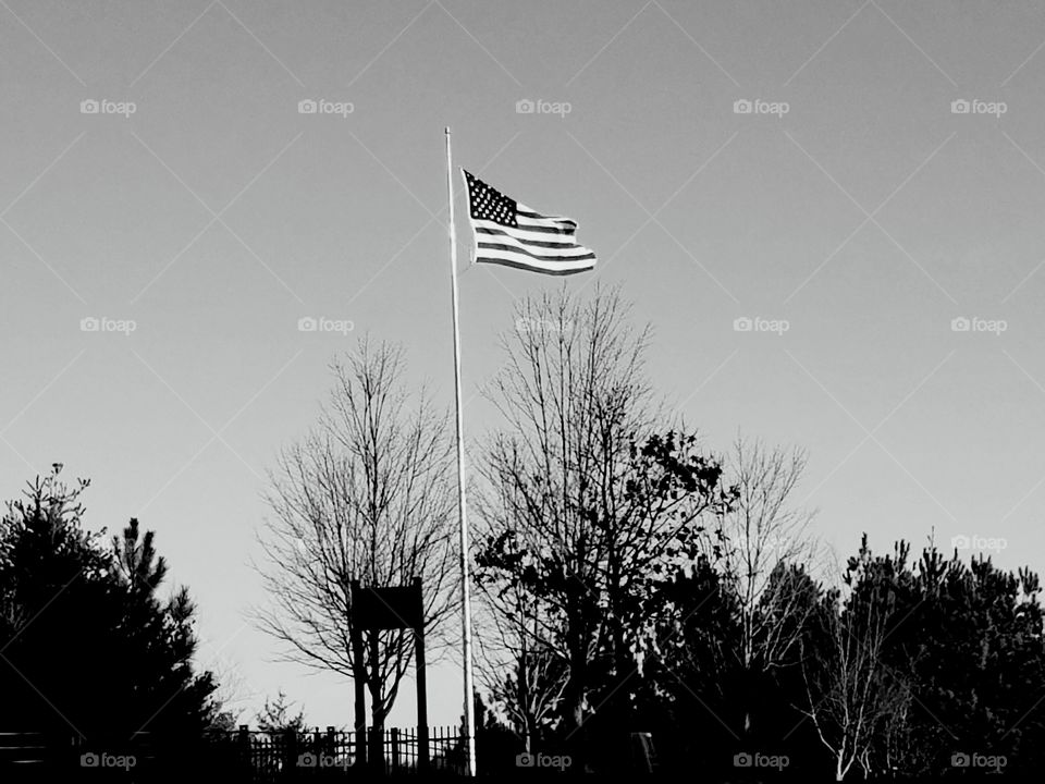 American Flag Grey