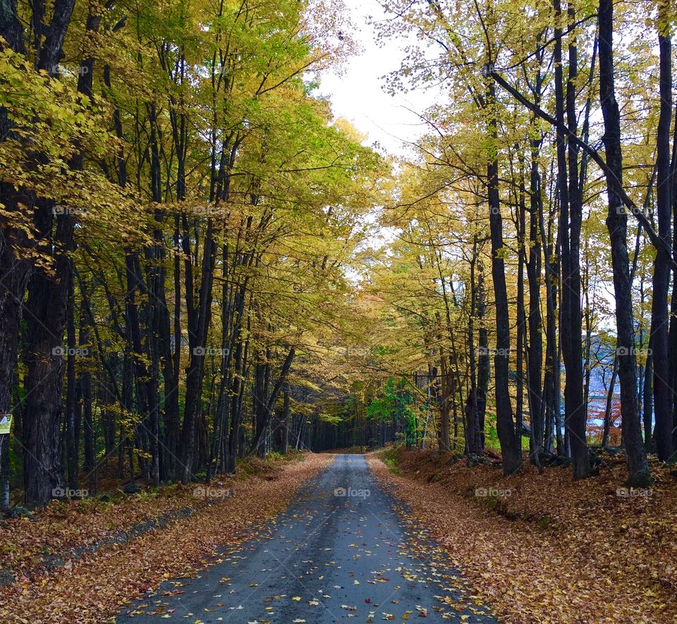 Vermont backroad in fall. 