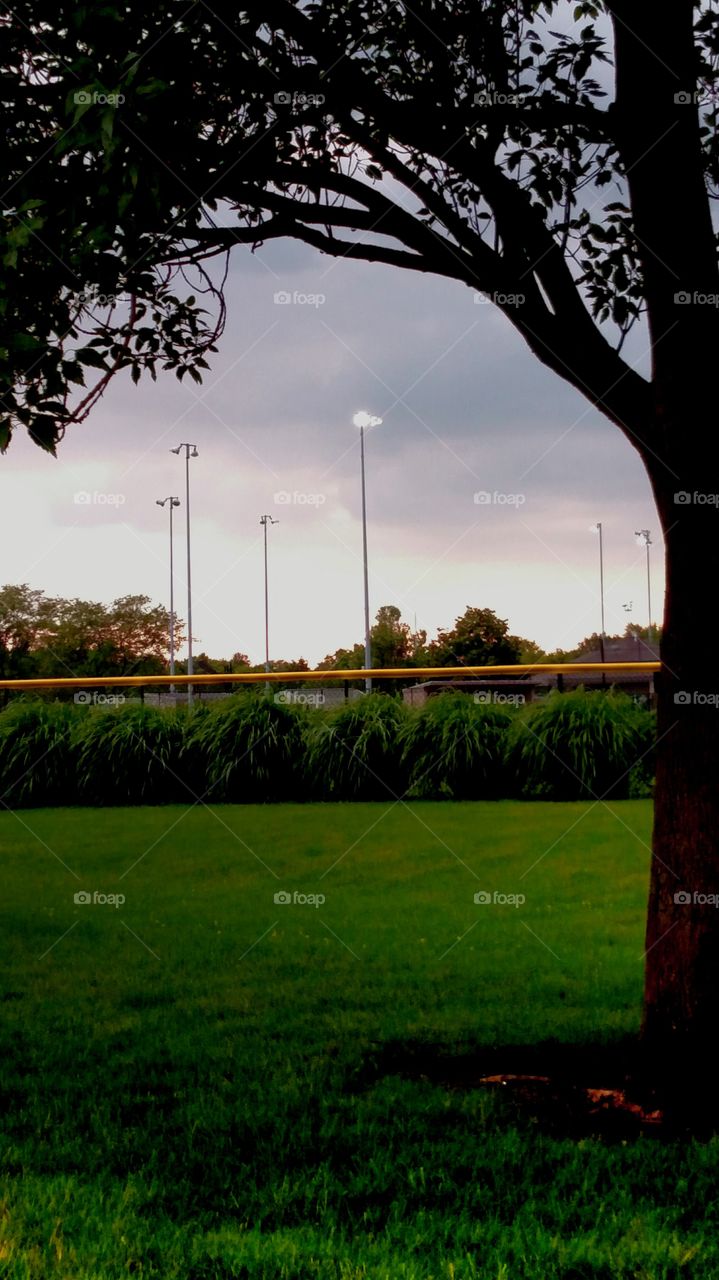 l tree Sky field lights storm