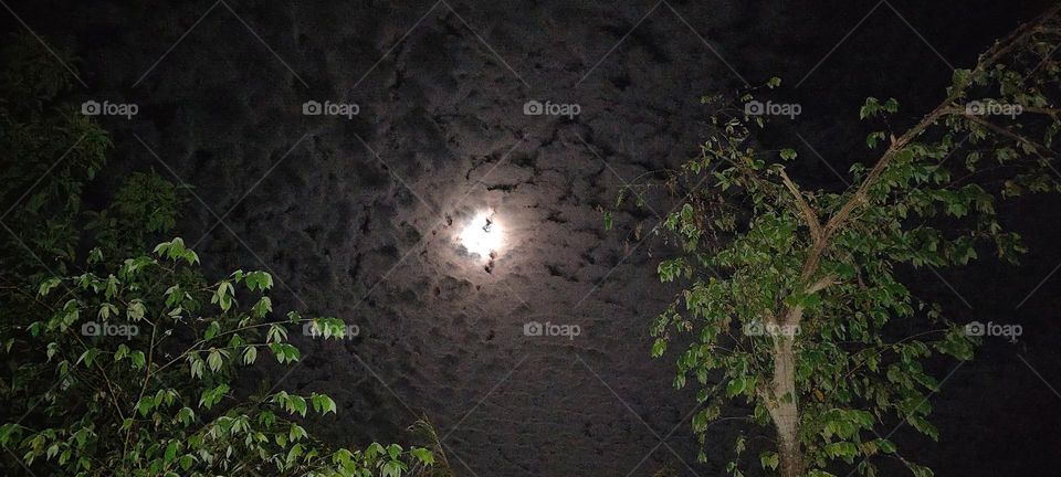 Cirrocumulus clouds at night almost cover the Moonlight