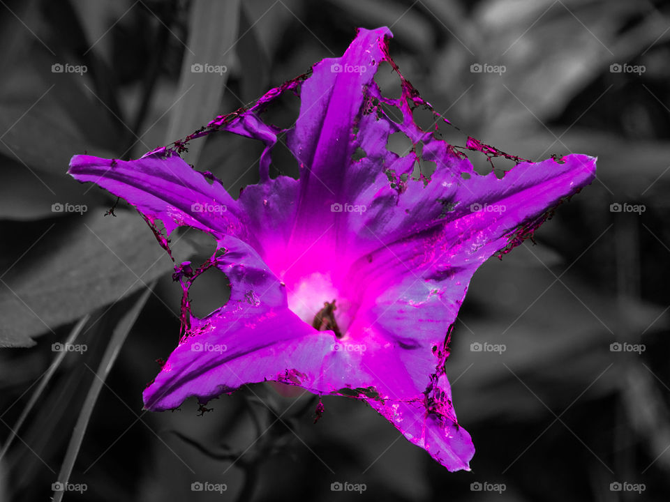 how much do you like this photo