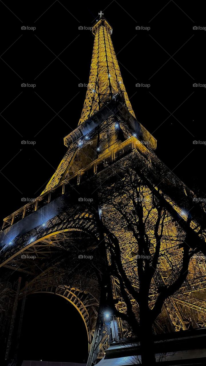 night at paris 