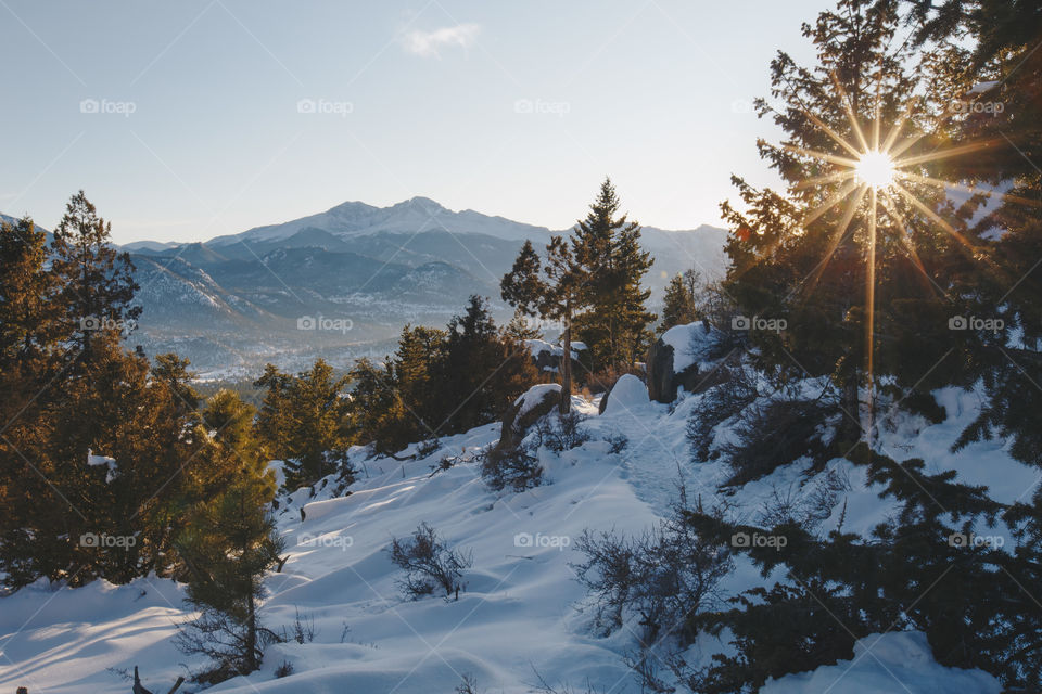 Snowy landscape in December 