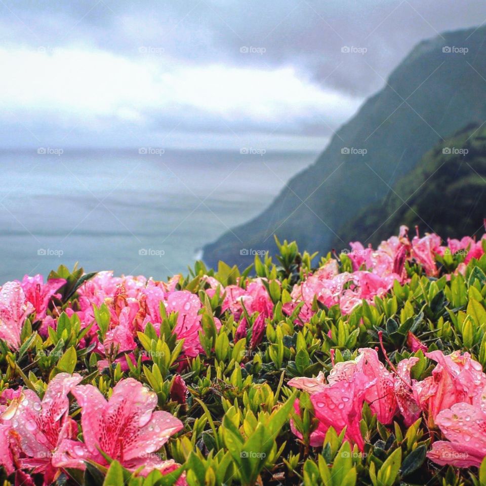 A lookout point on Saõ Miguel Island, Azores