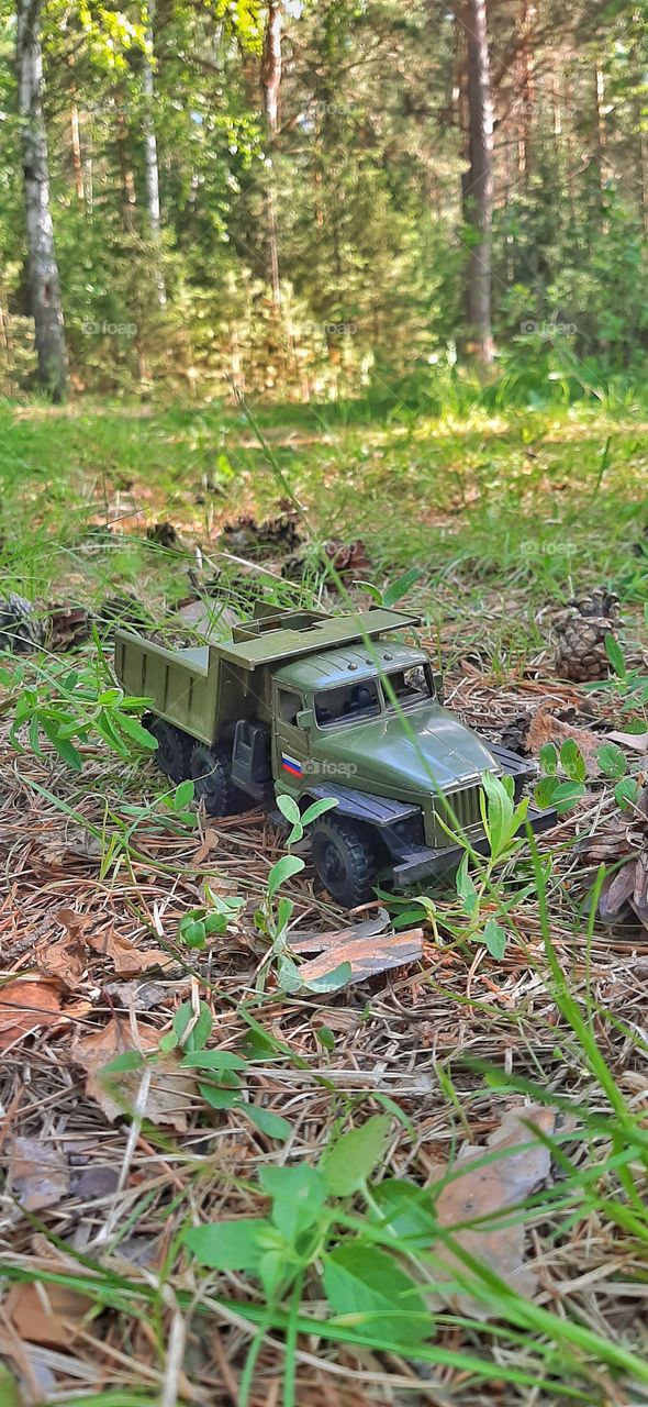 игрушечная грузовая машина в лесу