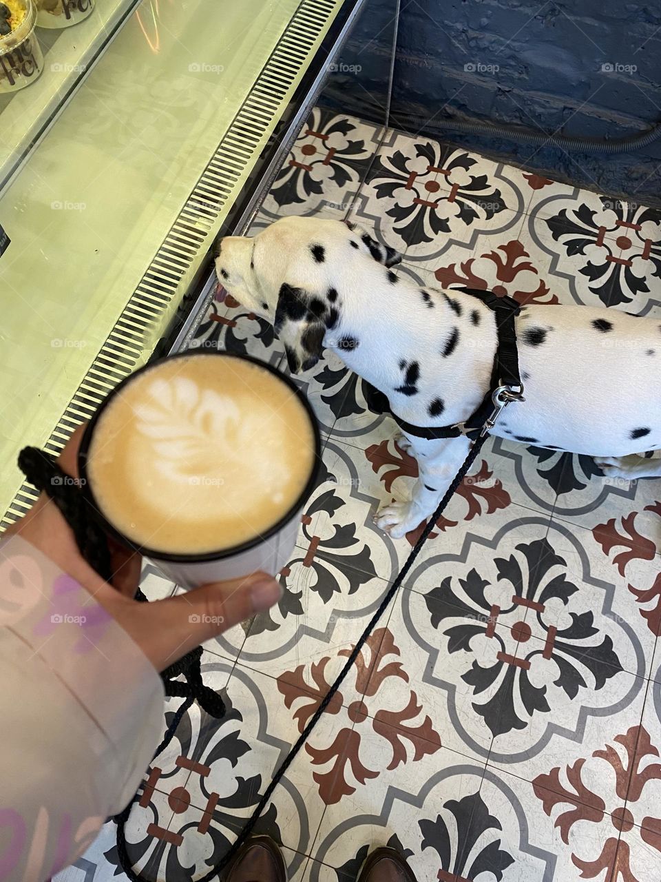Summer in the city with coffee and puppy