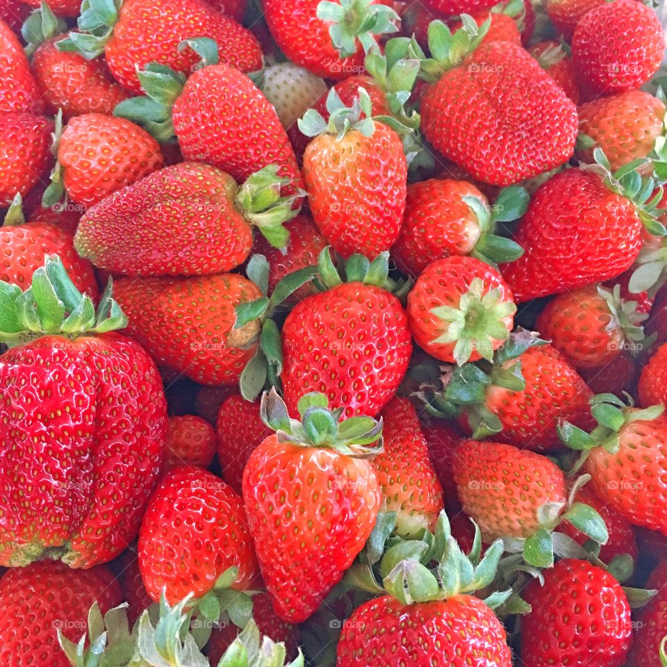 Fresh strawberries 