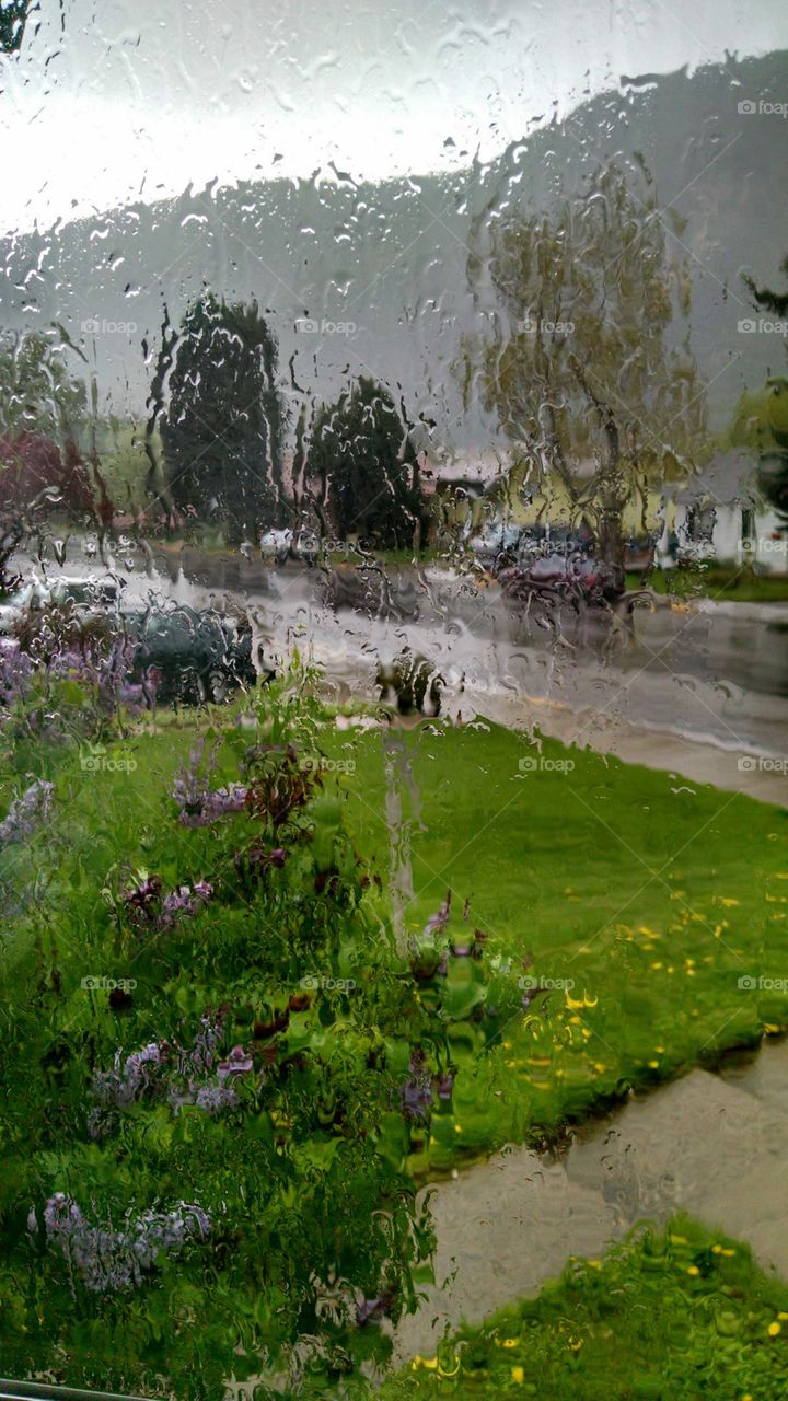 Rain, rain and more rain