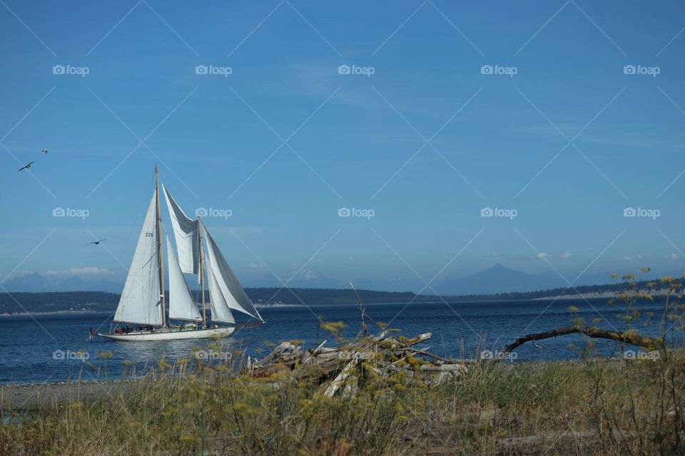 Sailboat at Port Townsend