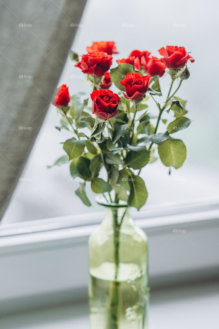 Flowers in vase 