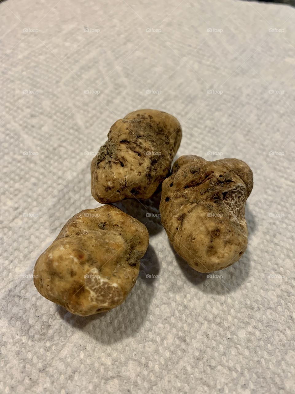 Fresh White Truffles
