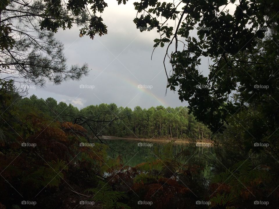 Rainbow over the lake