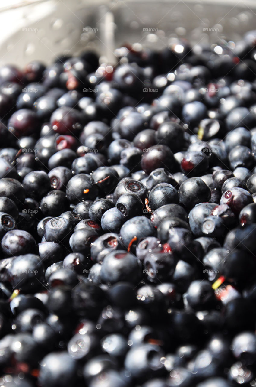 Black berries