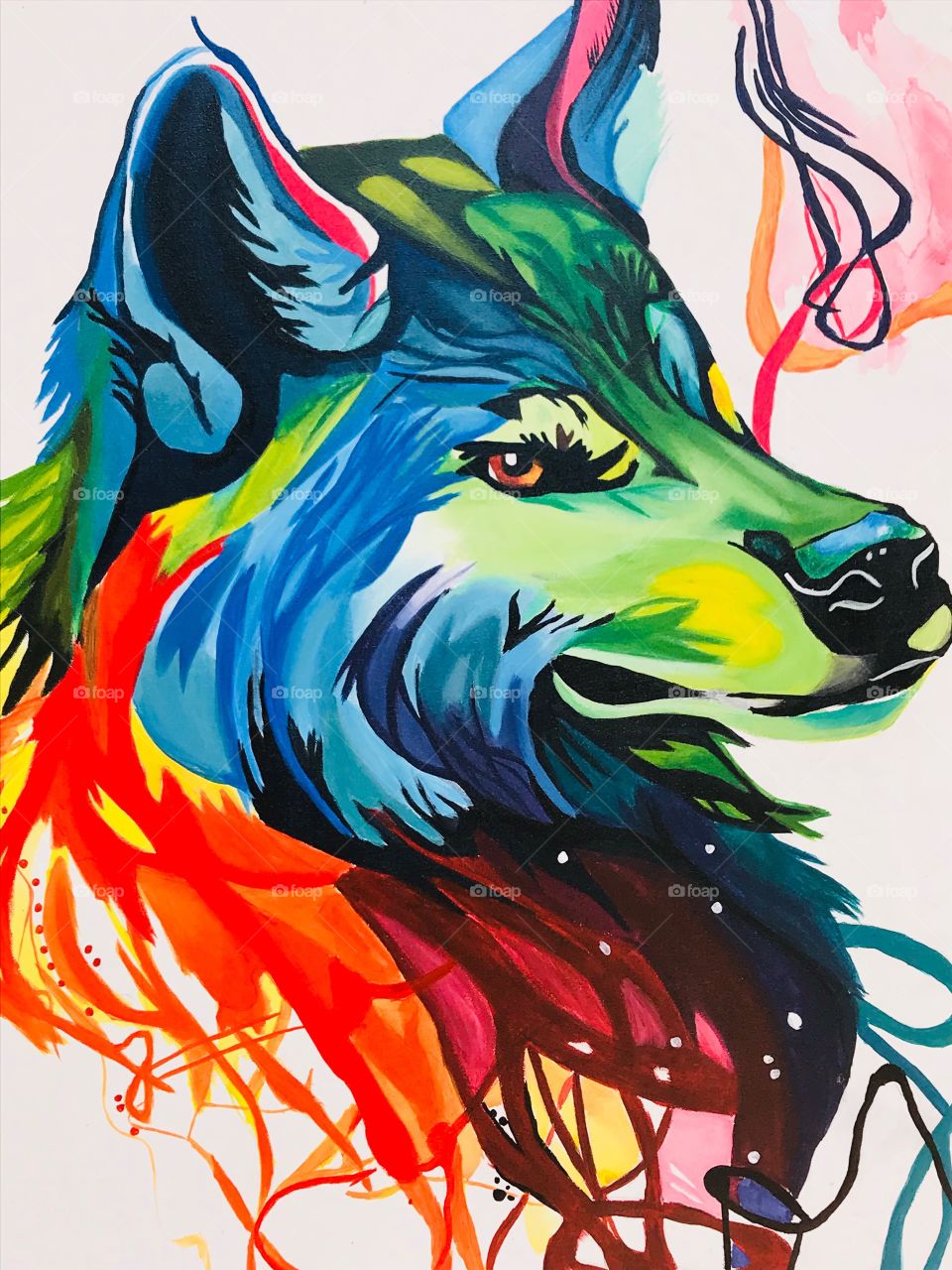 Wolf colors 